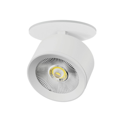 Спот Alta Pro A5546RS