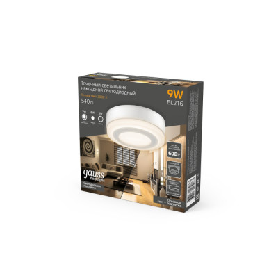 Настенно-потолочный светильник  BL216