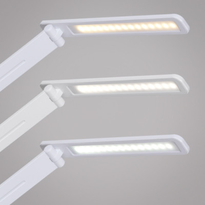 Офисная настольная лампа  00625-0.7-02 WHITE