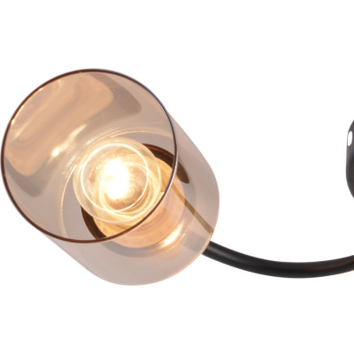 Потолочная люстра  01608-0.3-03 BK+BRASS