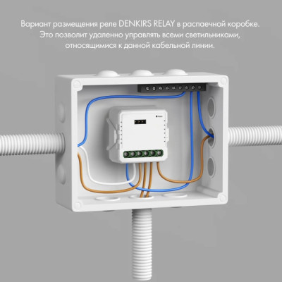 Wi-Fi реле Relay RL1003-DM