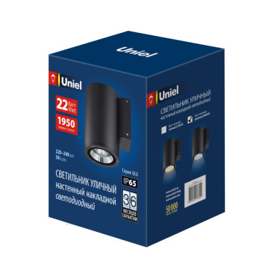 Архитектурная подсветка  ULU-S21С-22W/6400K IP65 BLACK