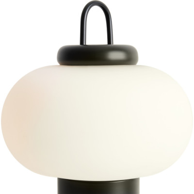 Интерьерная настольная лампа Take FR6175TL-L10B